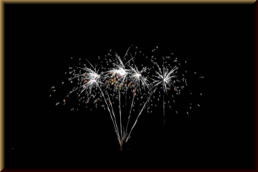 Preview: NICO Europe 13521 Silver Coconut, 6 Schuss - Bild 2